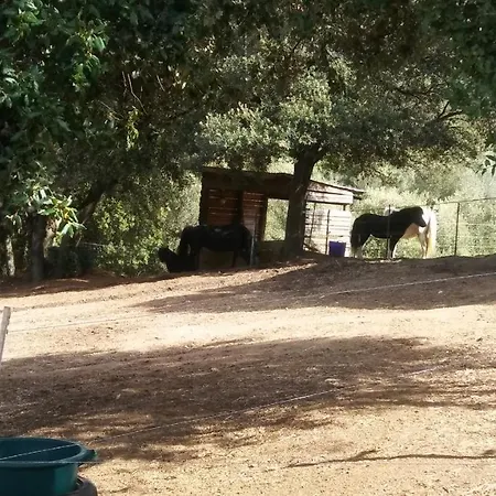 Le Petit Porticcio (Corsica)