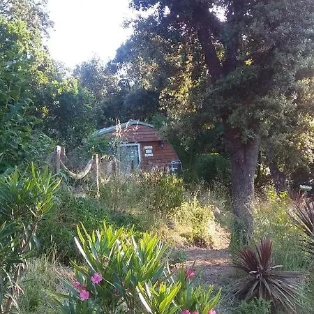 Le Petit * Porticcio (Corsica)